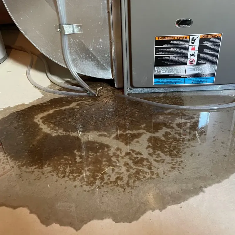 Pipe Burst and Leak Restoration in Snow Hill, MD